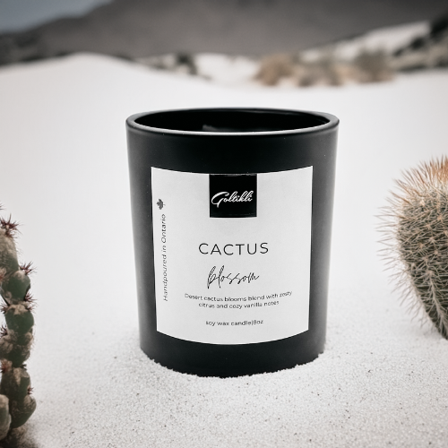 Cactus Blossom